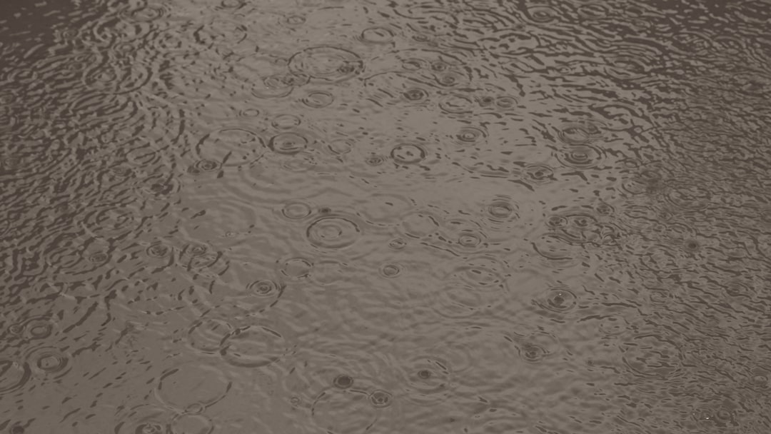 Les trois états d'hydratation de la pâte : sous-hydratée, optimale et sur-hydratée